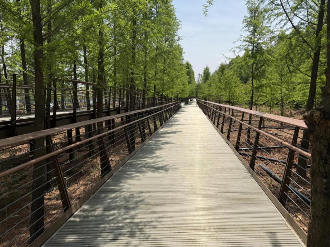 1765157613537683.png 图片1.png