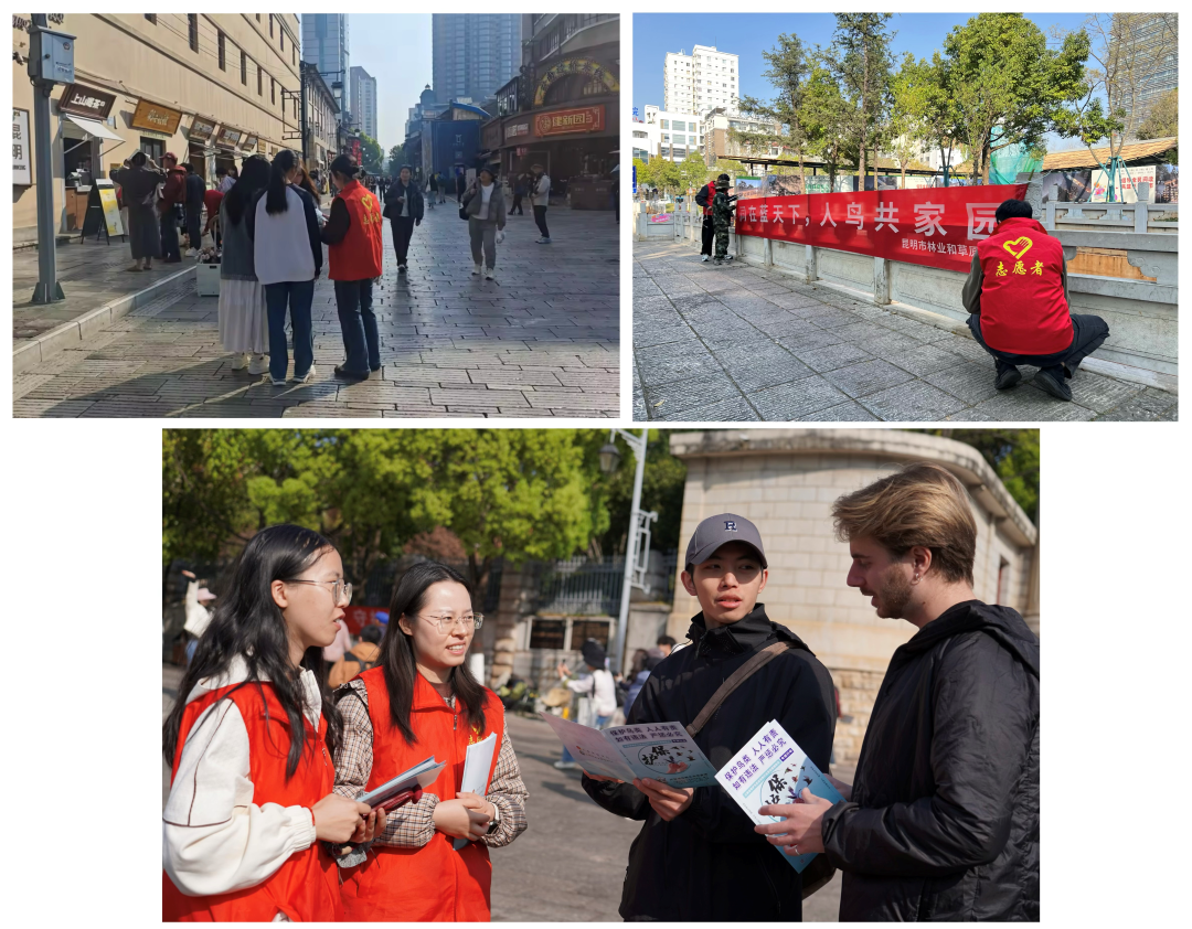 1772585961816658.png IMG_5130.HEIC.png